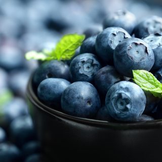 blueberry antioxidante